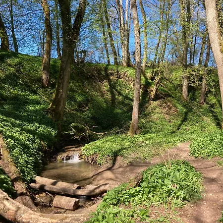 Seebrise Ferienwohnung, Auszeit In Ruhiger Lage, Bodensee Naehe, Privatparkplatz, Wlan, Smart Tv * Rielasingen-Worblingen